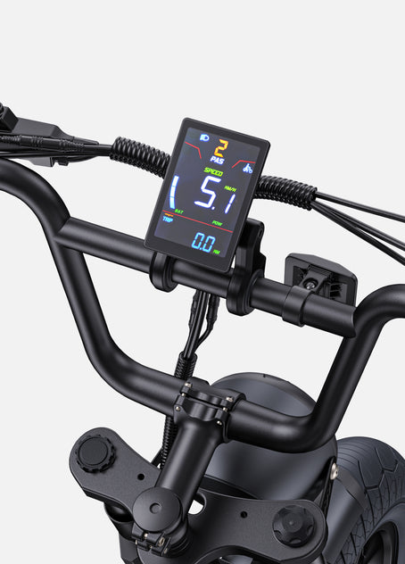Bicicleta eléctrica estilo motocicleta M1