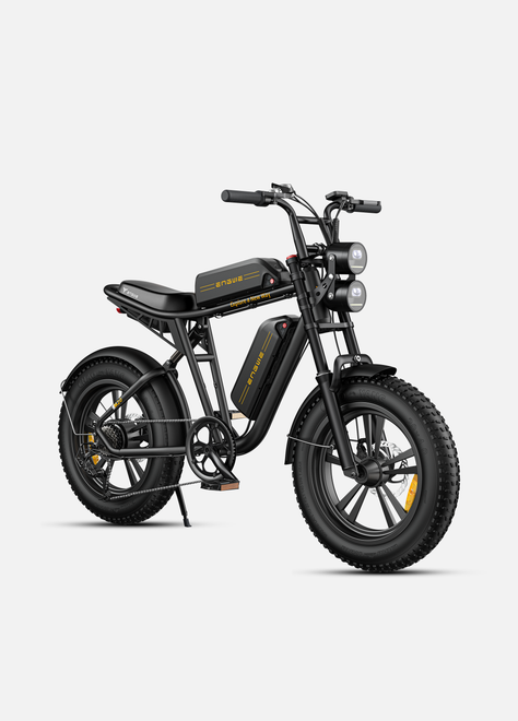 M20 Motorcycle-styled Electric Bike