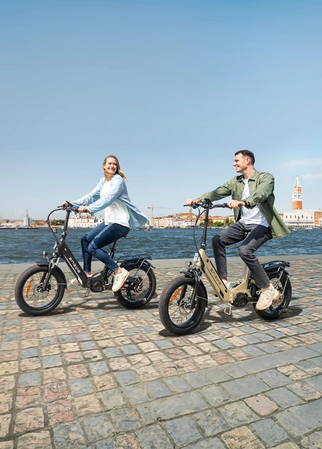L20 3.0 Pro Electric Bike