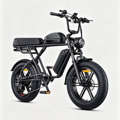M1 Motorcycle-styled Electric Bike